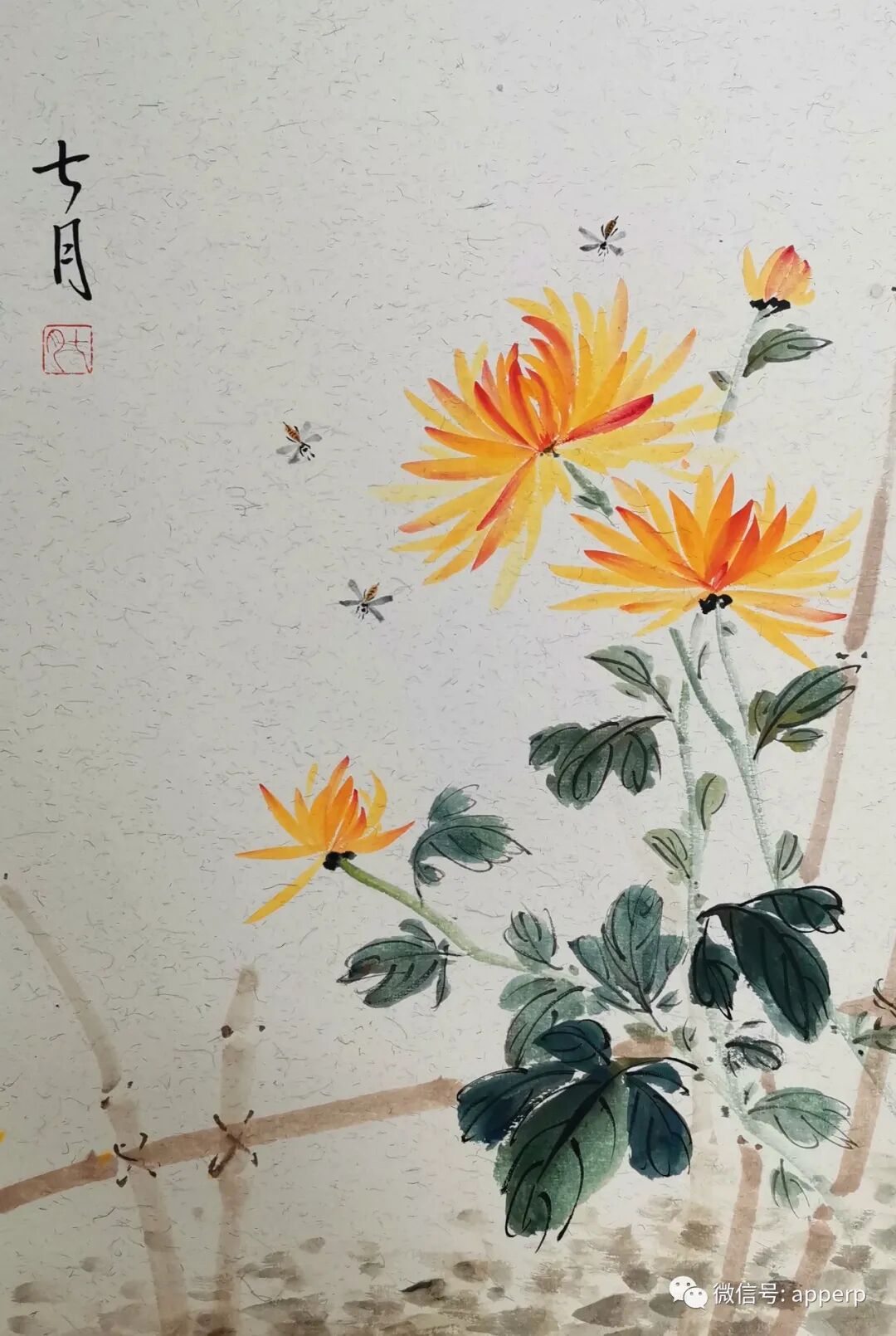 国画花鸟 <七月案例>