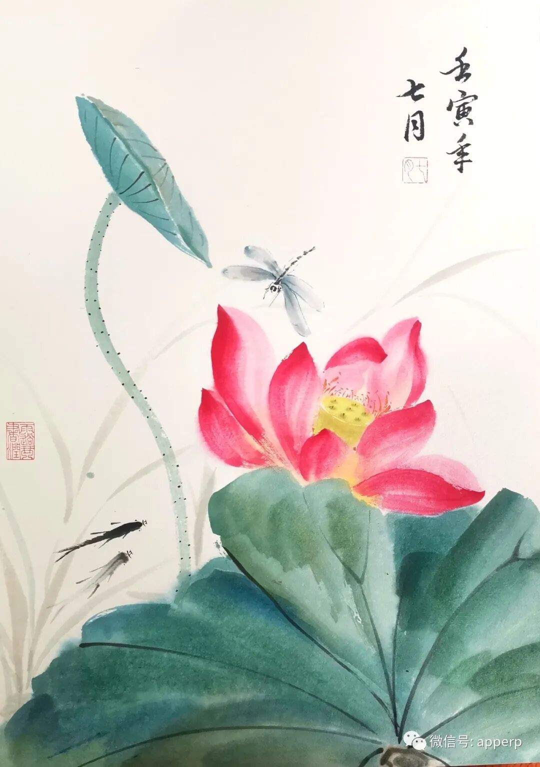国画花鸟 <七月案例>