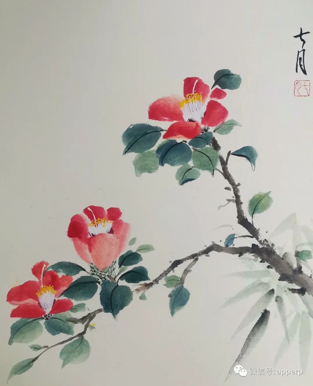 国画花鸟 <七月案例>