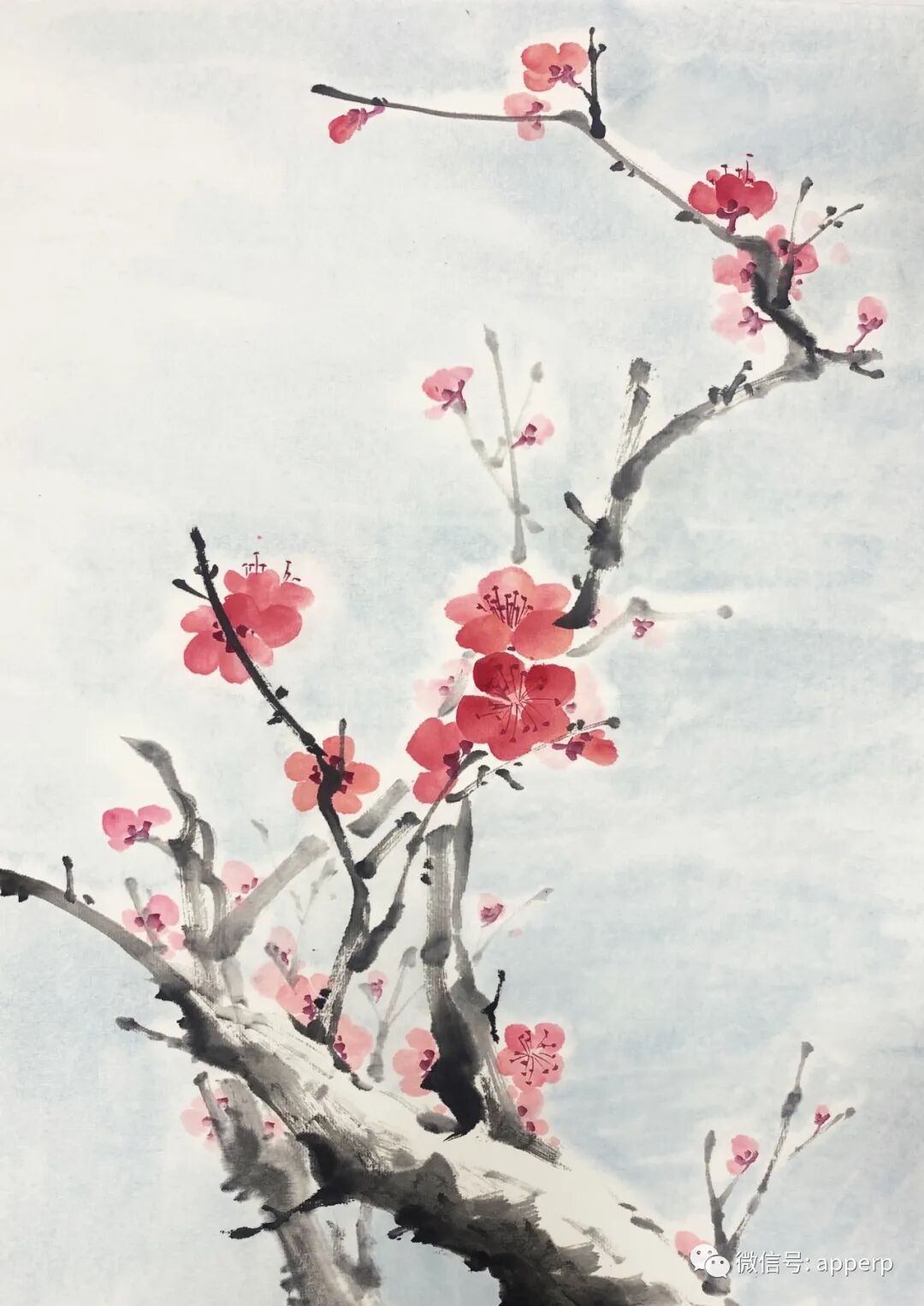 国画花鸟 <青柠案例>