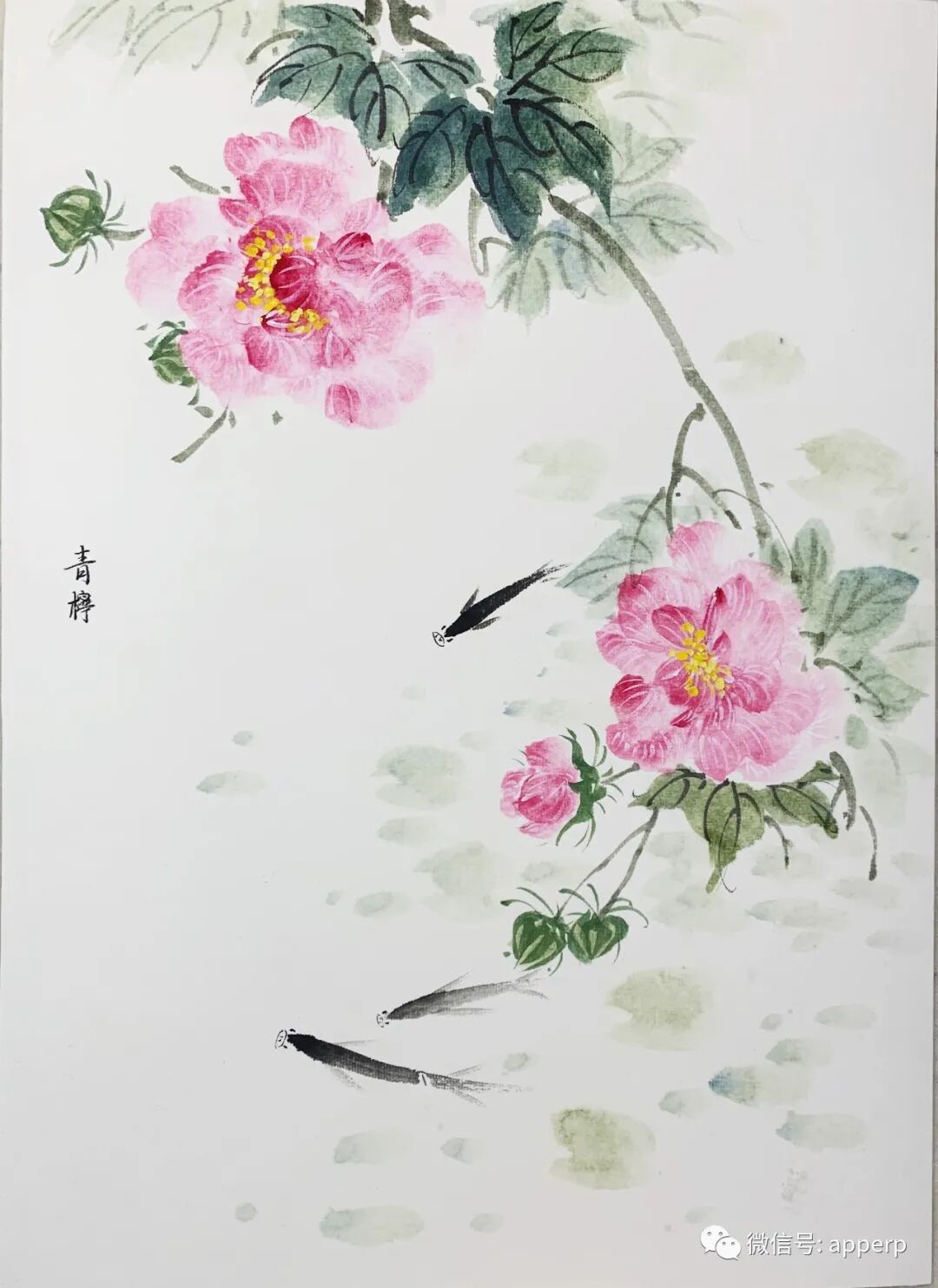 国画花鸟 <青柠案例>