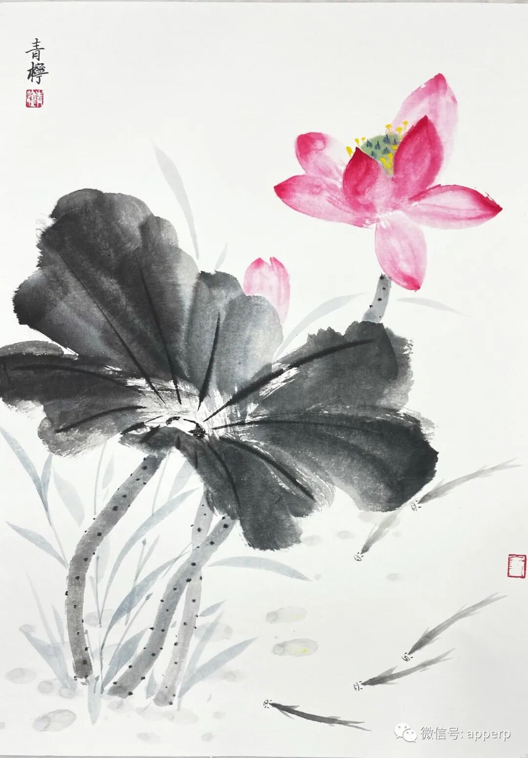 国画花鸟 <青柠案例>