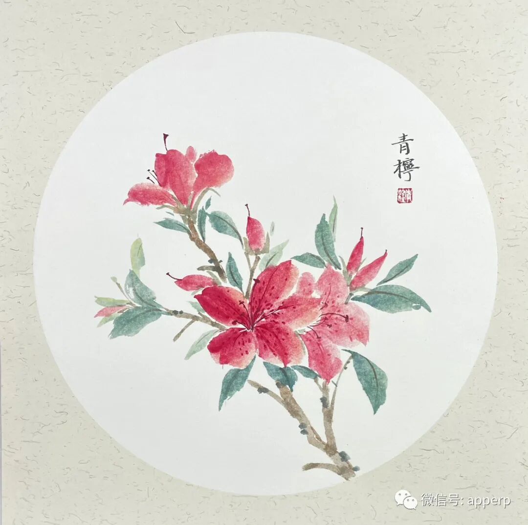 国画花鸟 <青柠案例>