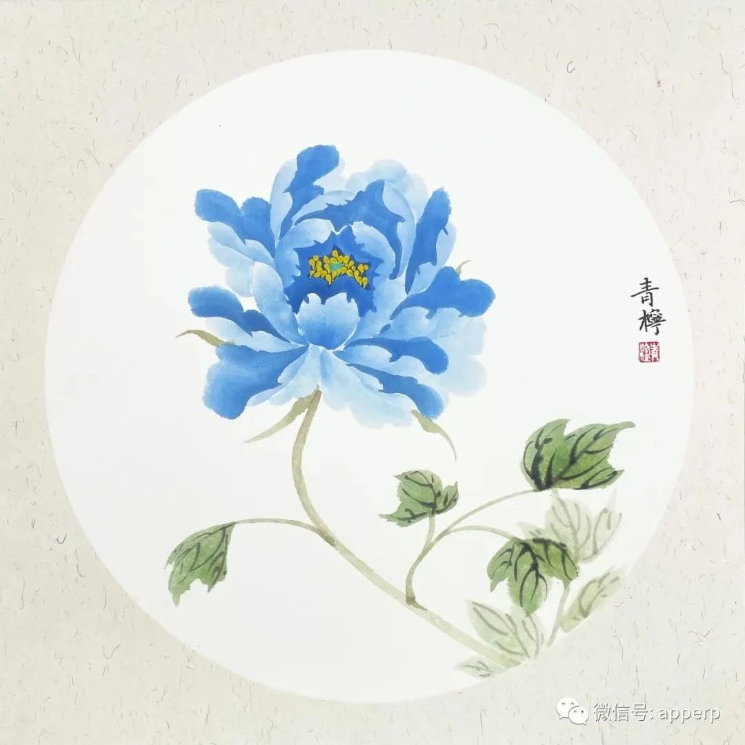 国画花鸟 <青柠案例>