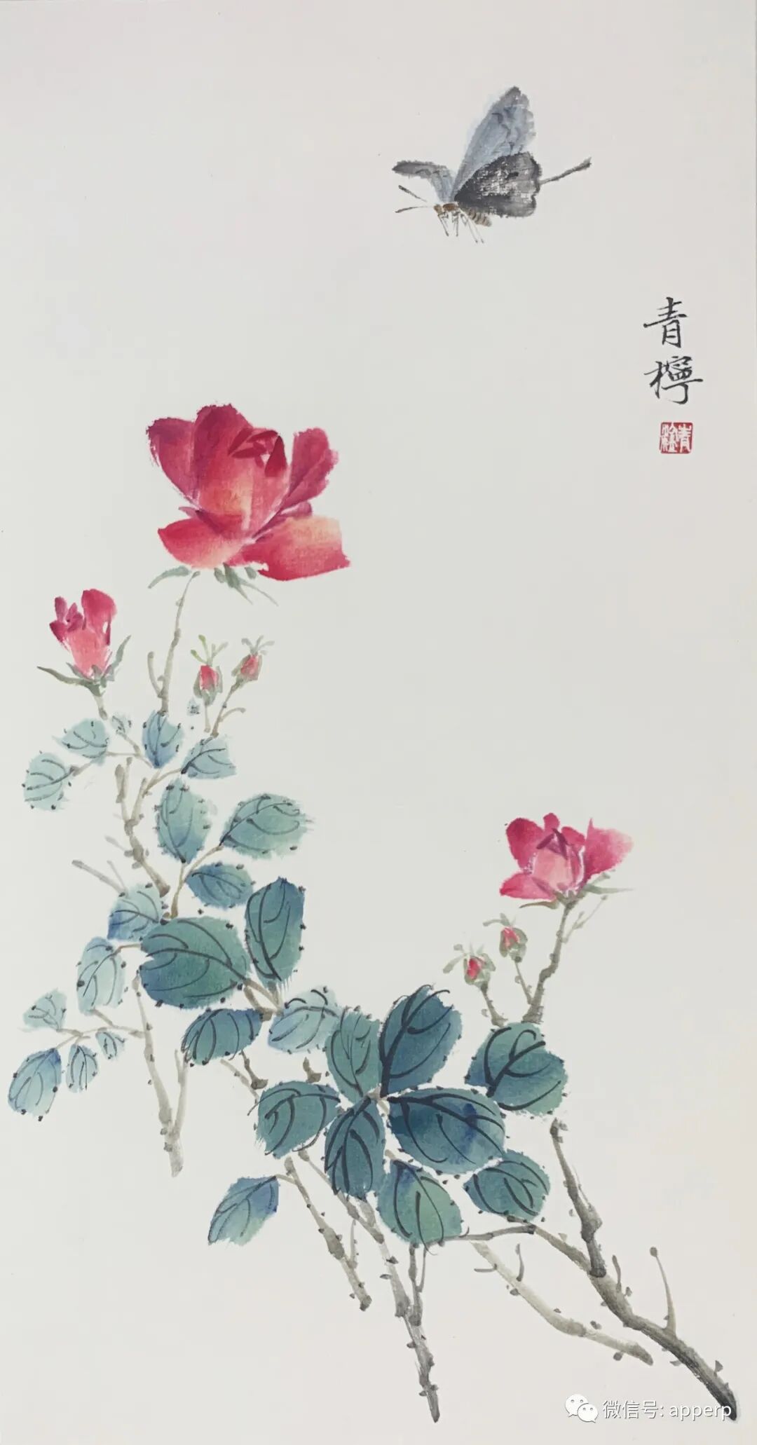 国画花鸟 <青柠案例>