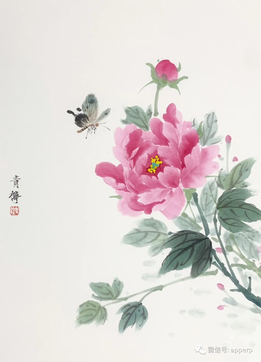 国画花鸟 <青柠案例>