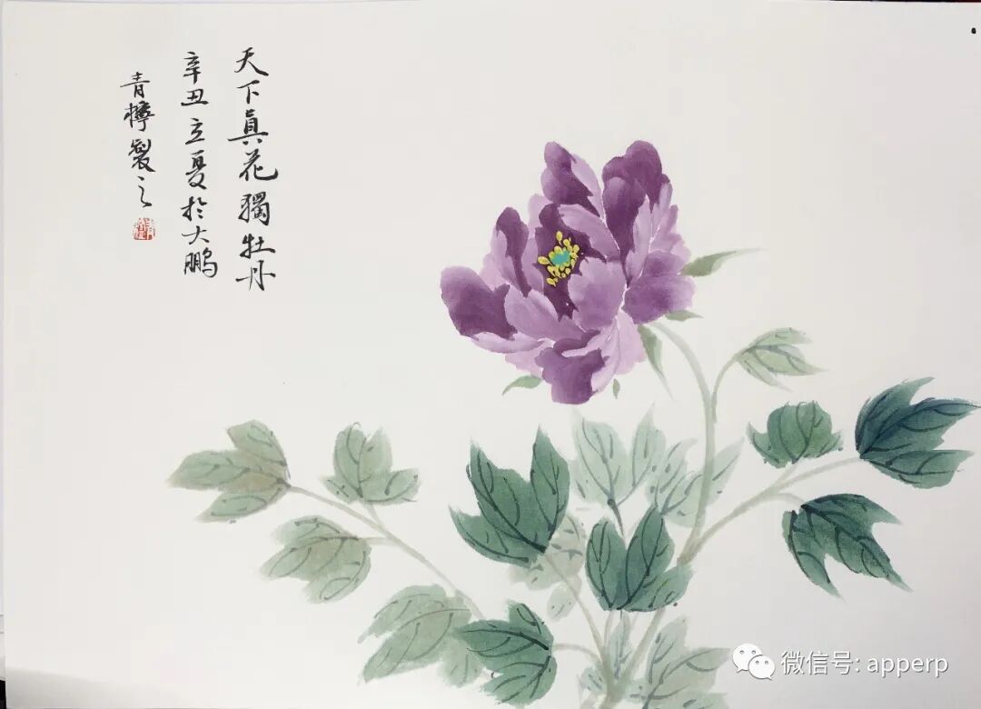 国画花鸟 <青柠案例>