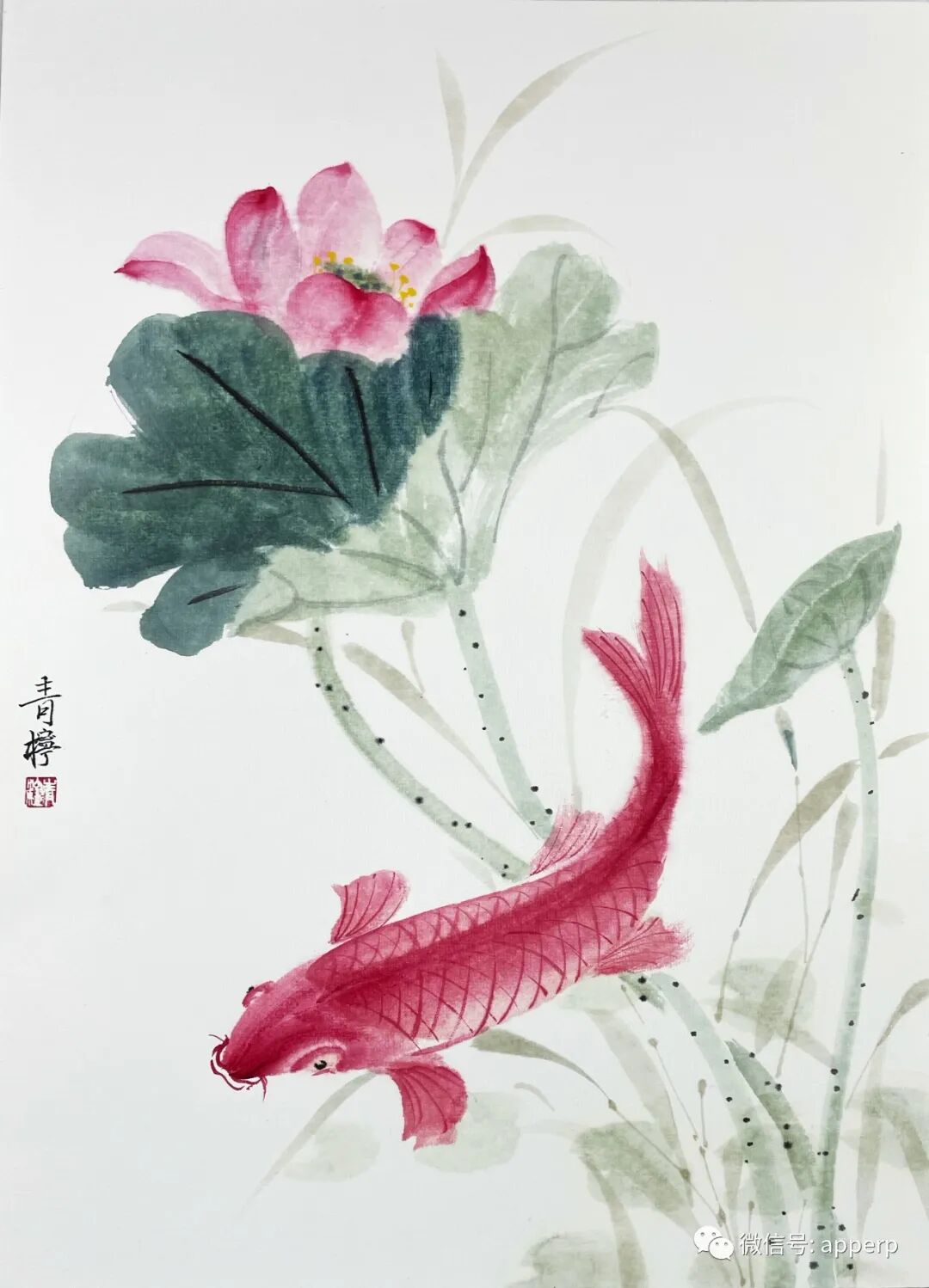 国画花鸟 <青柠案例>