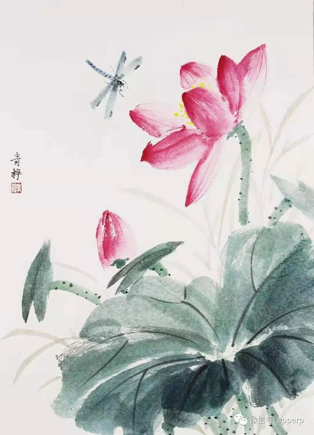 国画花鸟 <青柠案例>