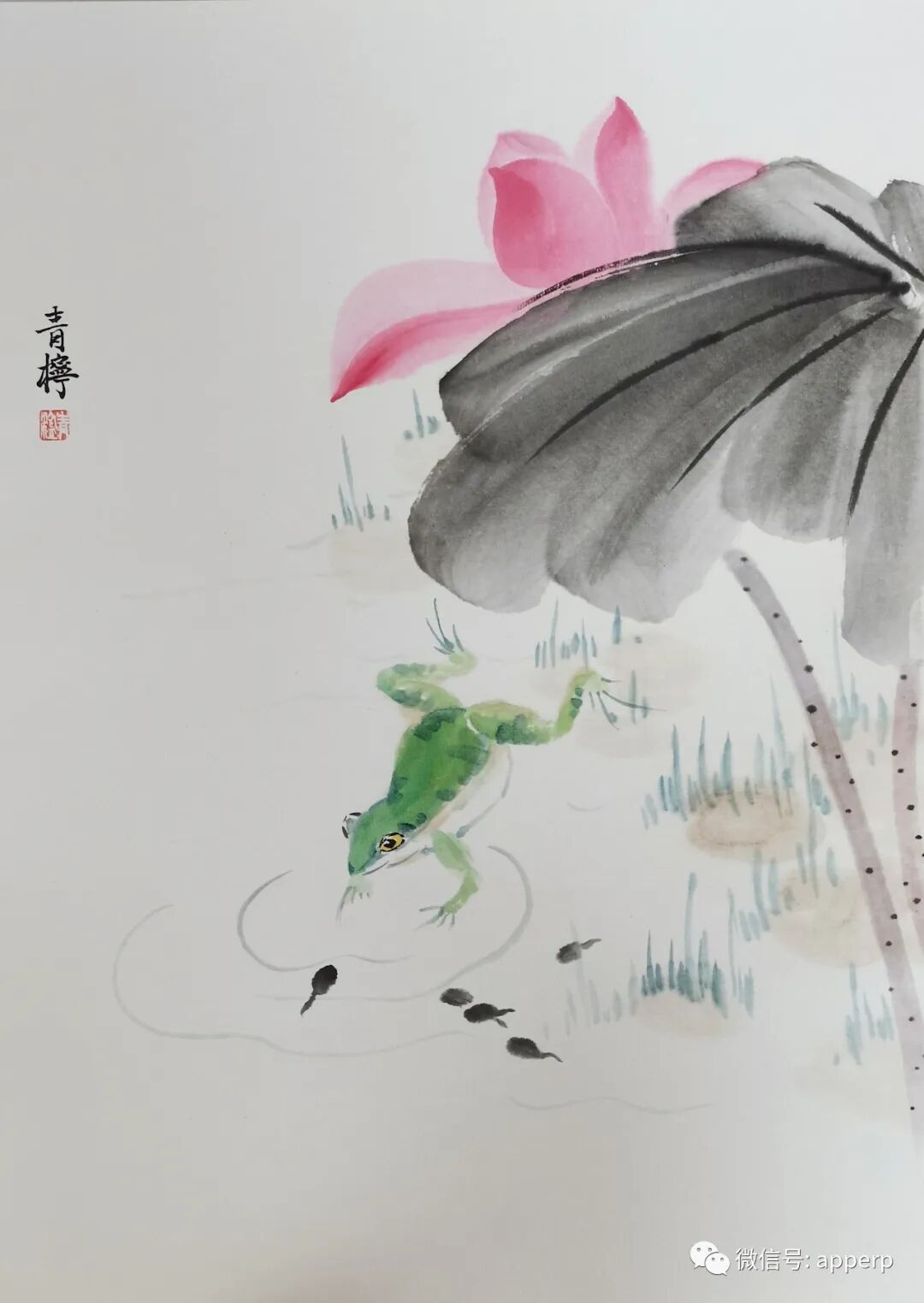 国画花鸟 <青柠案例>