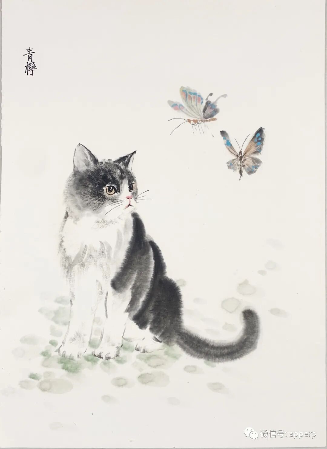 国画花鸟 <青柠案例>