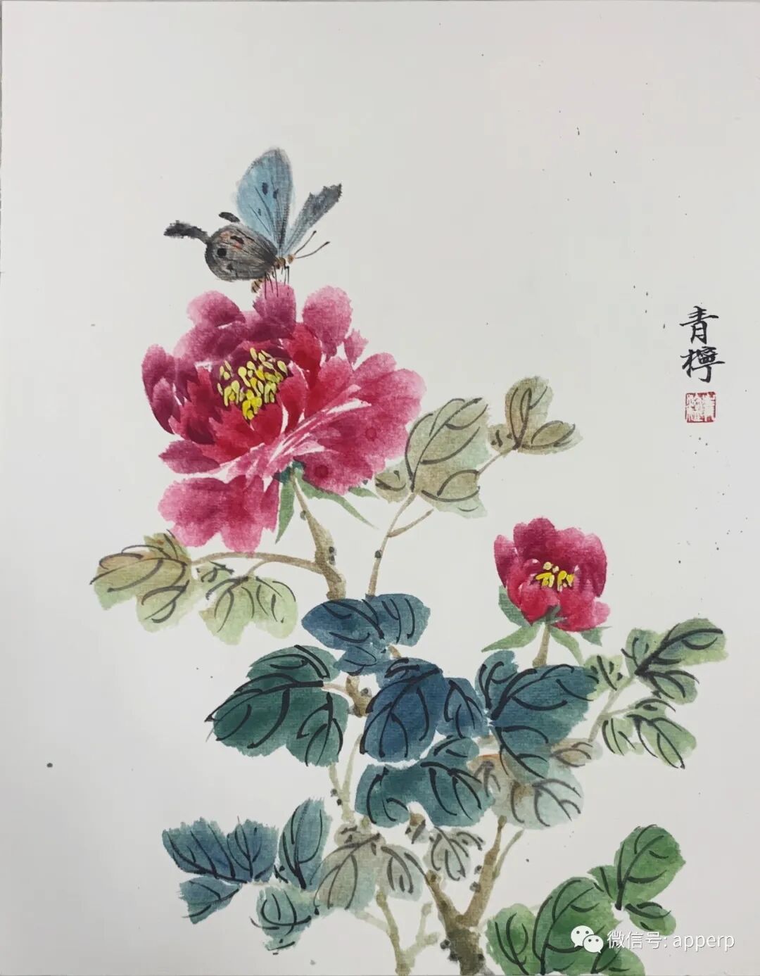 国画花鸟 <青柠案例>
