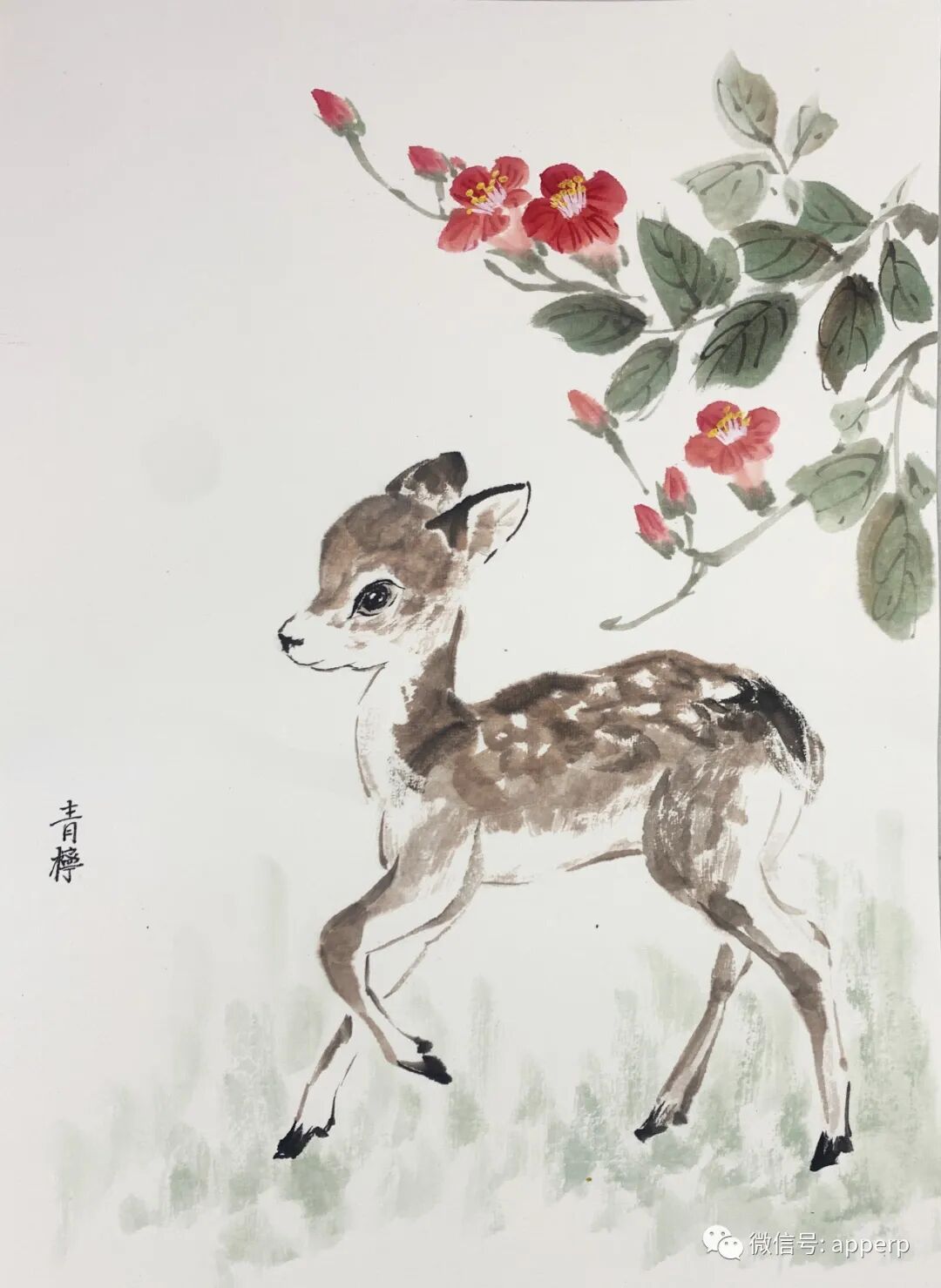 国画花鸟 <青柠案例>