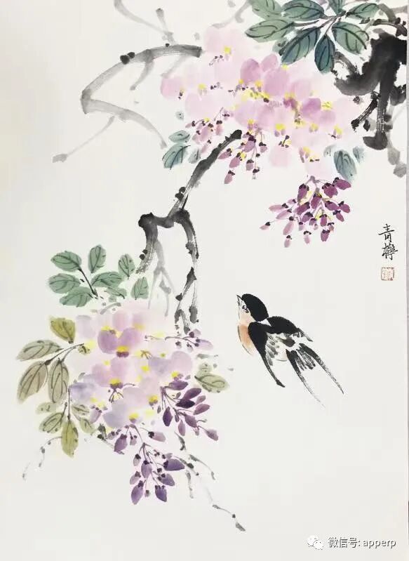 国画花鸟 <青柠案例>