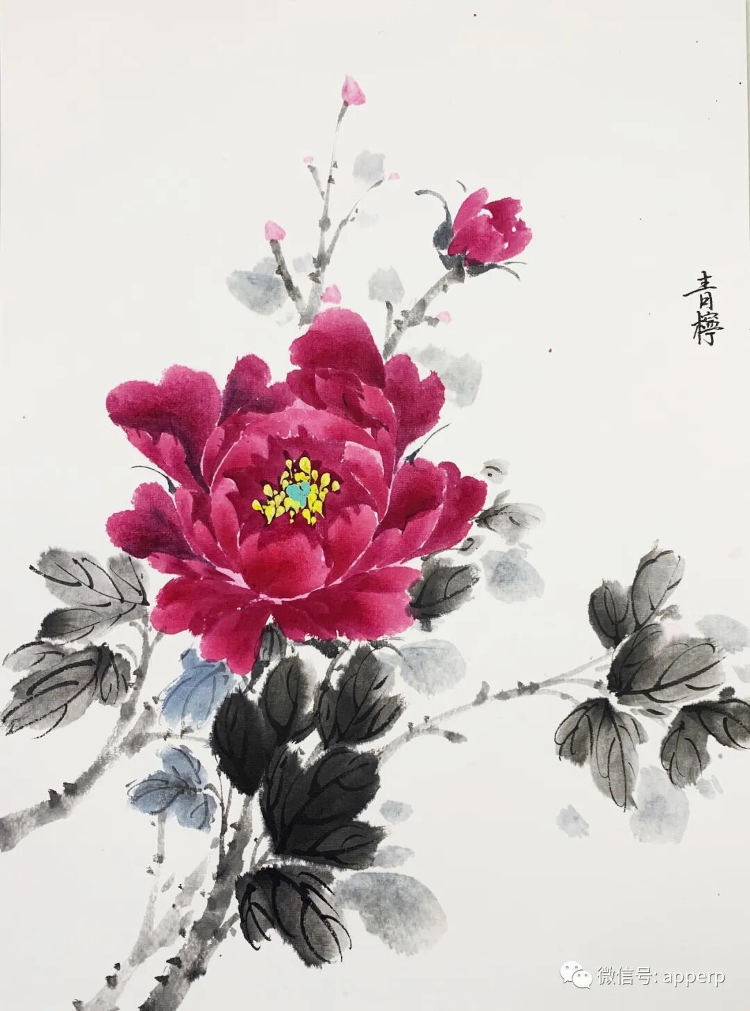 国画花鸟 <青柠案例>