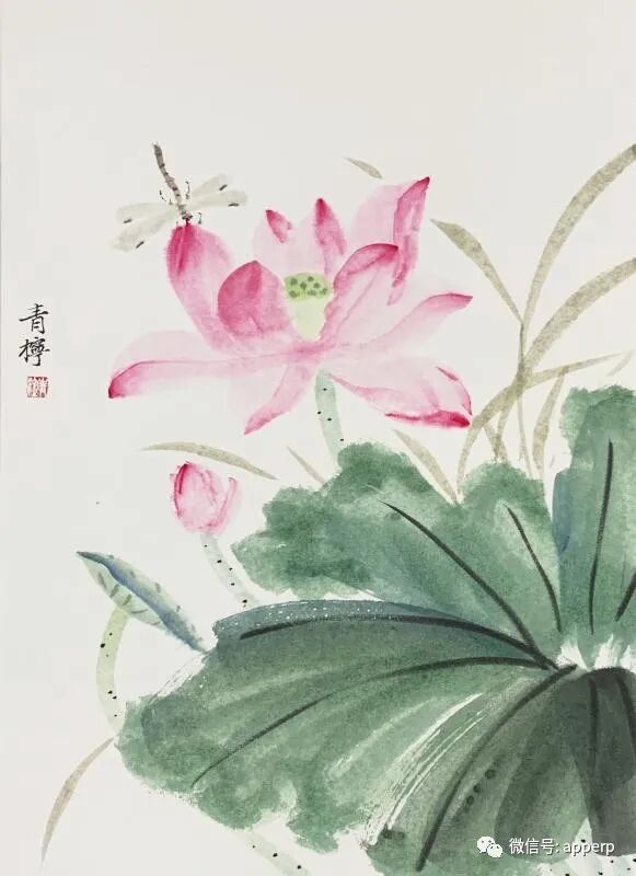 国画花鸟 <青柠案例>