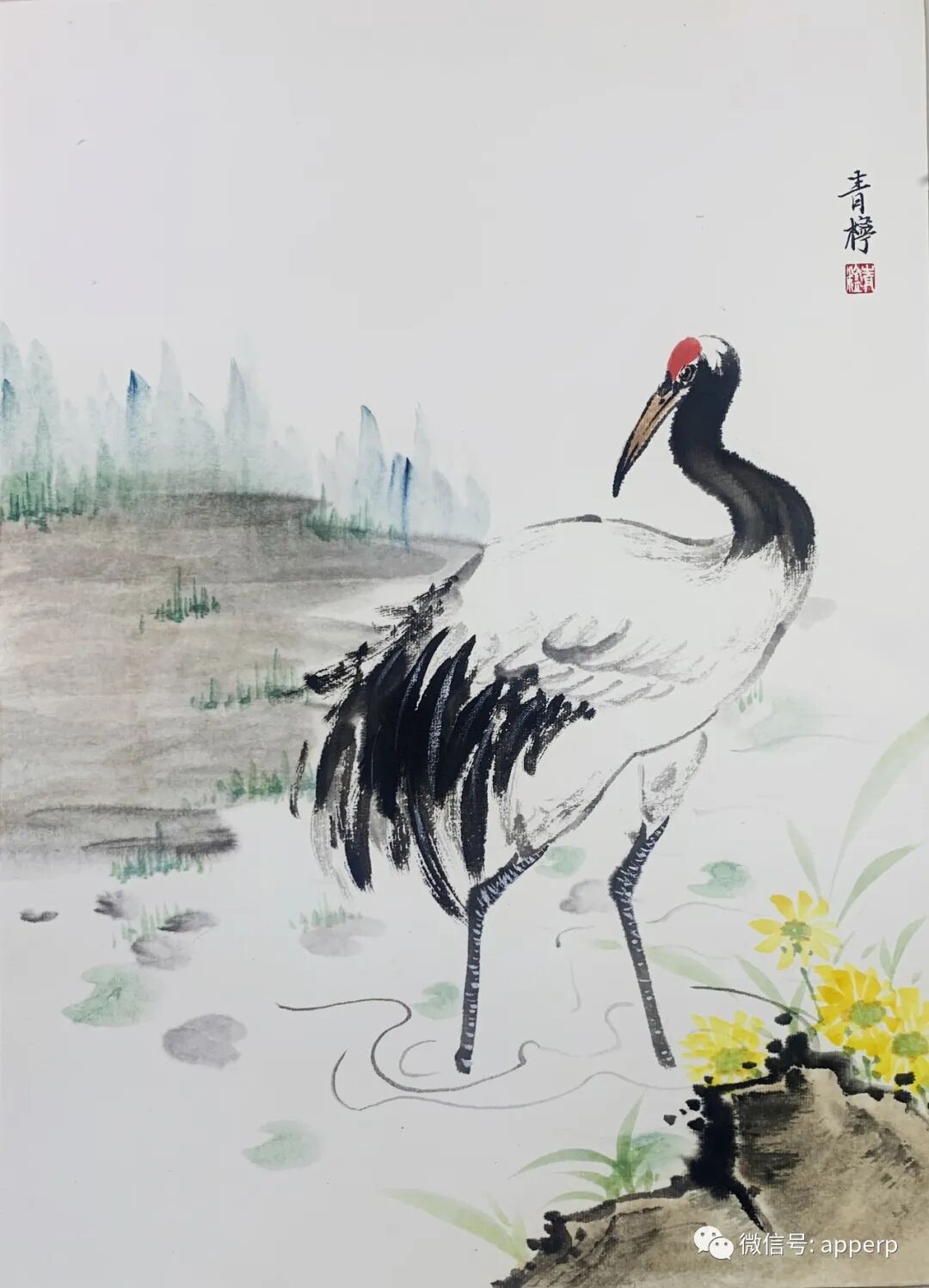 国画花鸟 <青柠案例>