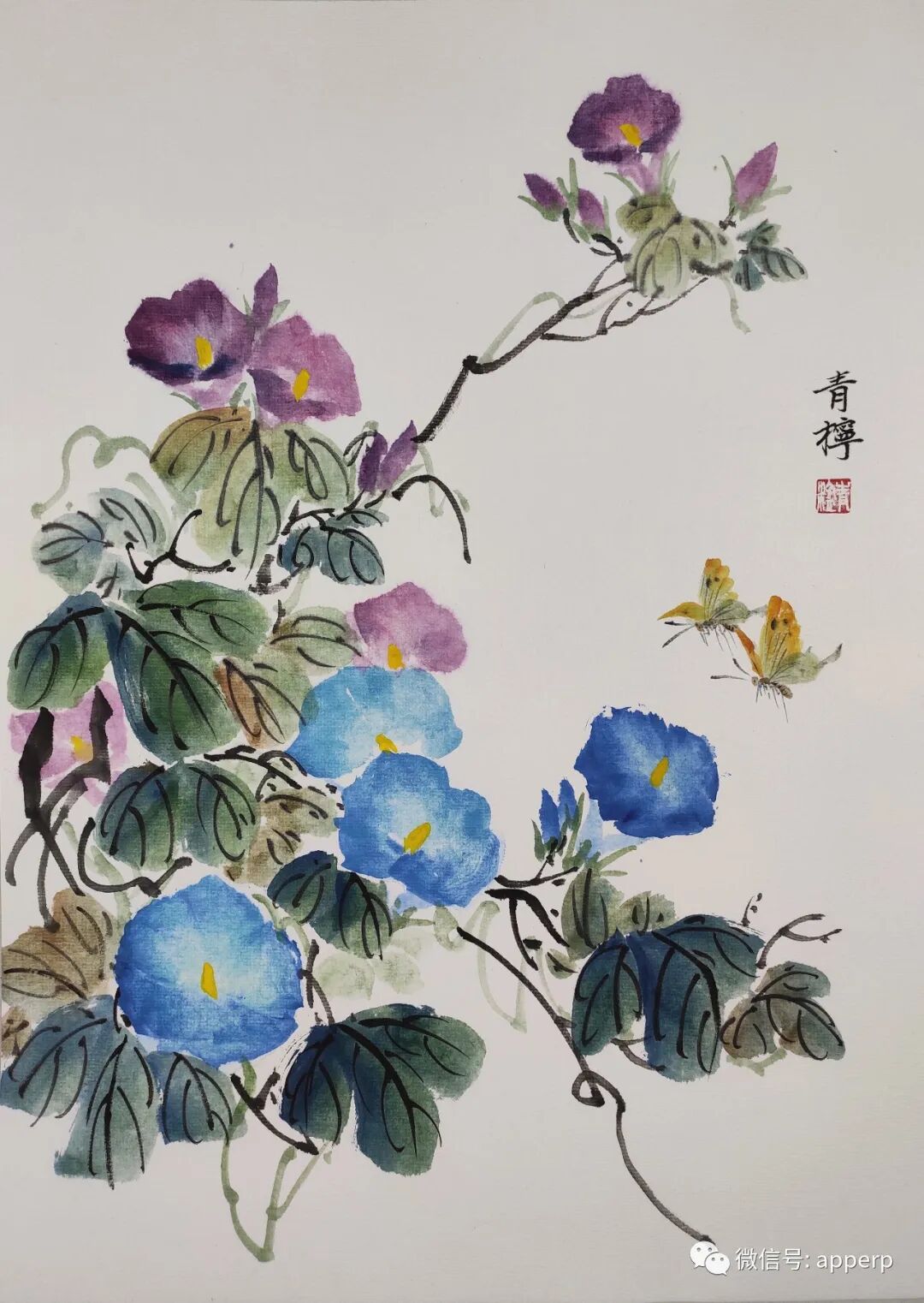 国画花鸟 <青柠案例>