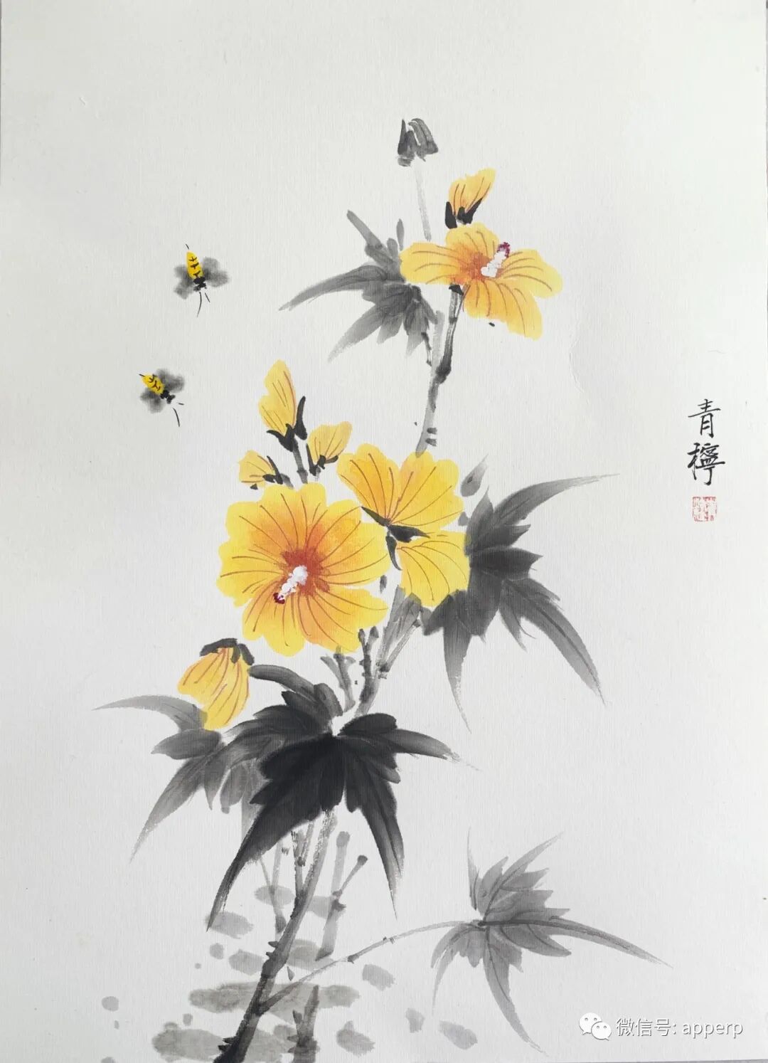 国画花鸟 <青柠案例>
