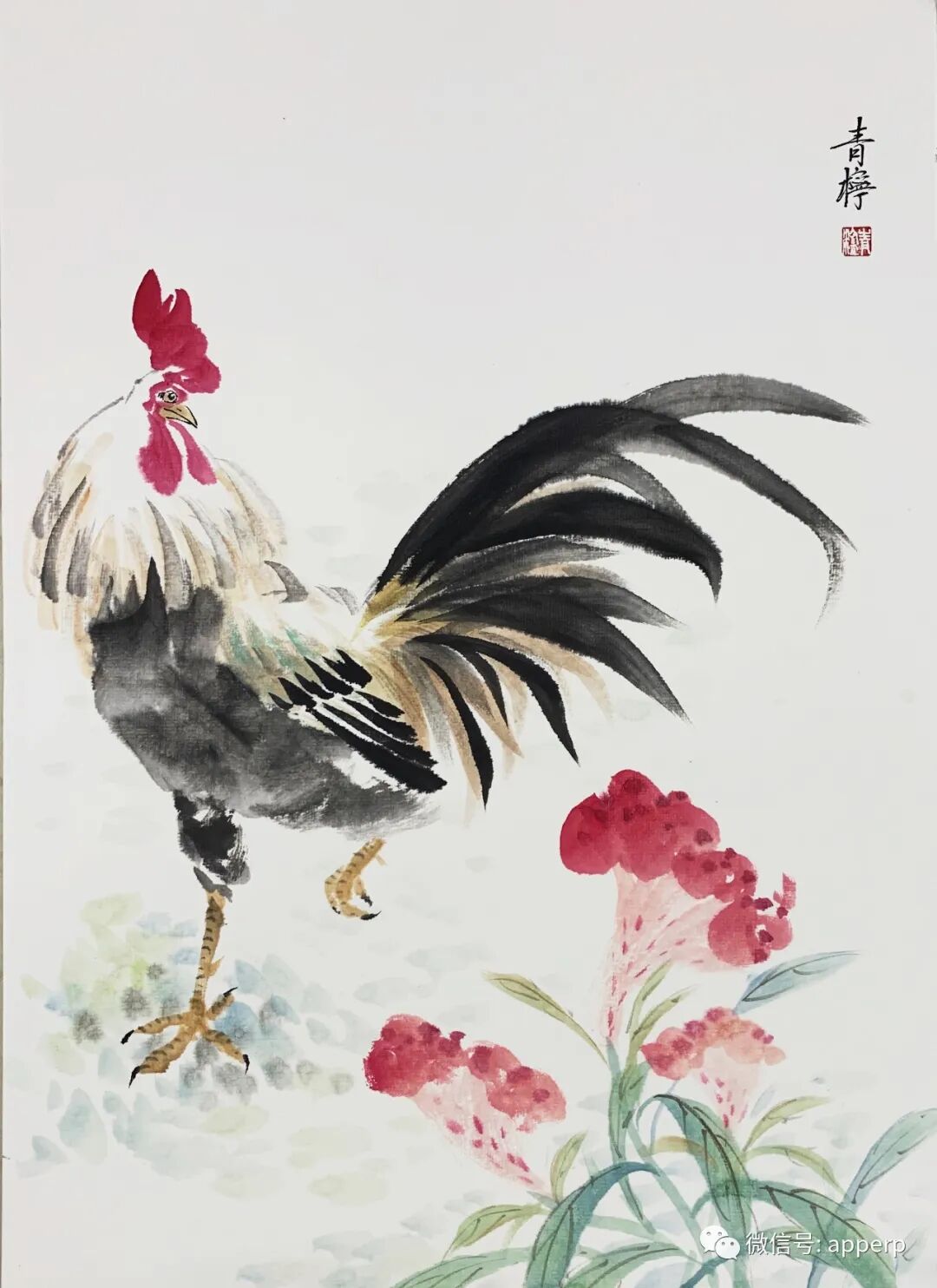 国画花鸟 <青柠案例>