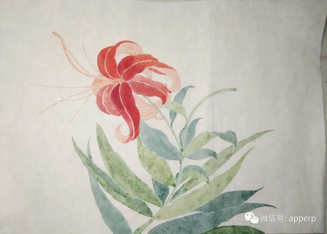 国画花鸟 <青柠案例>