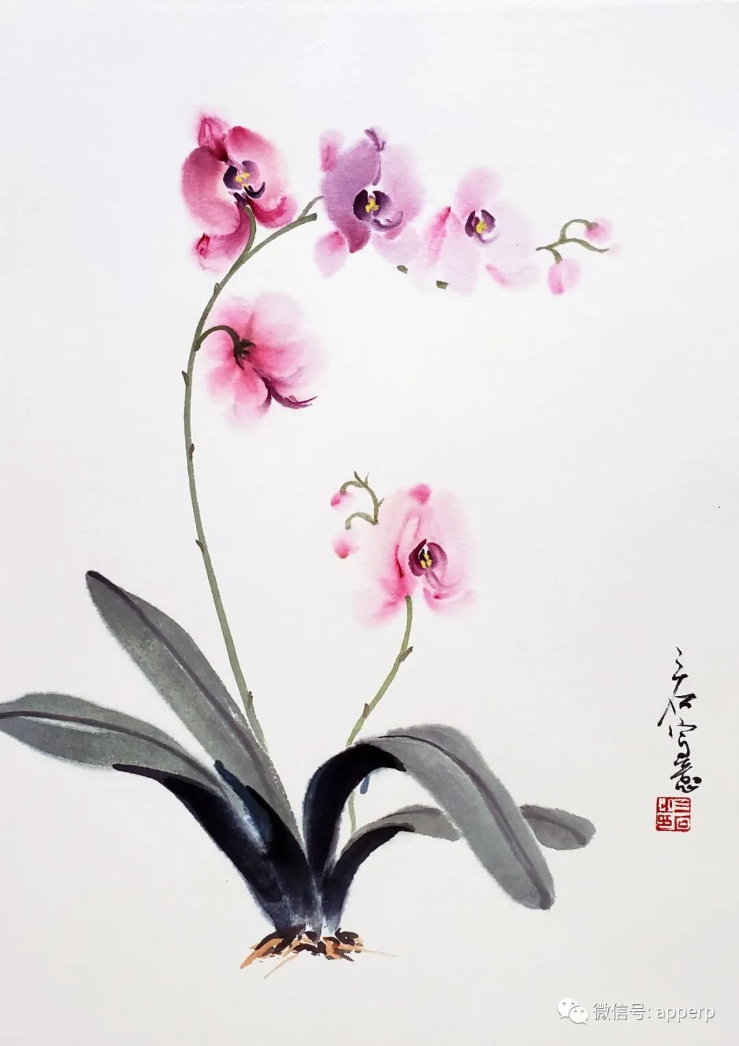 国画花鸟 <大潘案例>