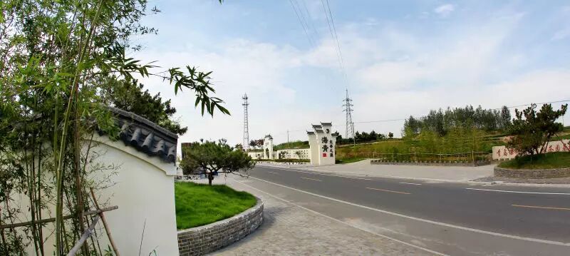 十一特辑美丽乡村行走进海青镇感受静雅茶园小镇的魅力