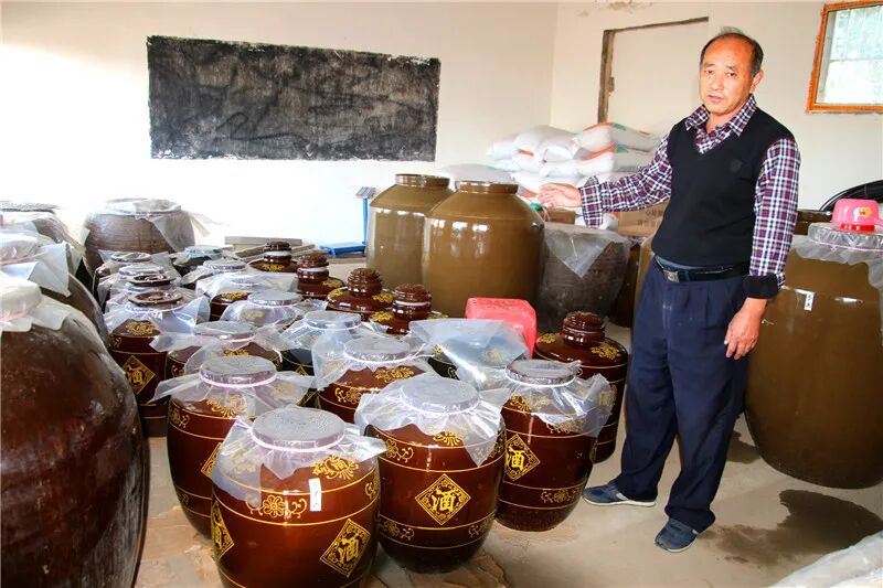 种植创业项目计划书_种植创业项目_种植创业项目名称