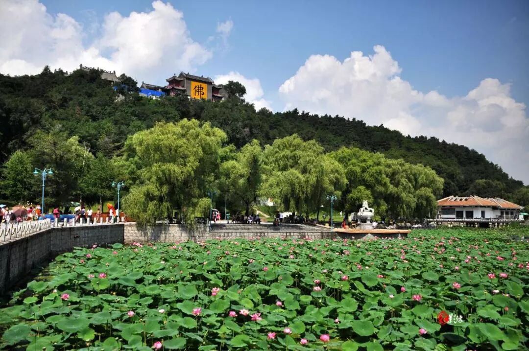 吉林市清明踏青攻略—— 收藏一段"好春光"_旅游_吉林电视台