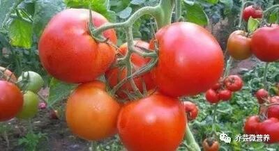 生姜发绿能吃吗?_生姜吃发绿能变白吗_生姜吃发绿能吃不