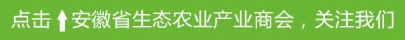 新澳门精准资料大全管家婆料,未来10年，我国主要农产品市场形势如何？这份展望报告请收藏