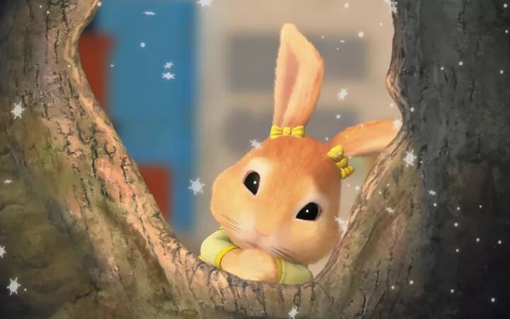 晋江兔区链接地址_兔区晋江交流区_李永波刘国梁晋江兔区