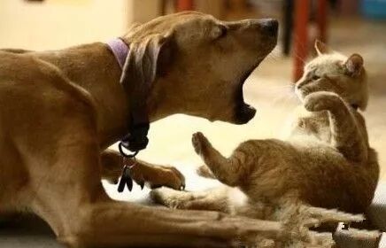 过年胖三斤，怎样瘦回年前的自己？