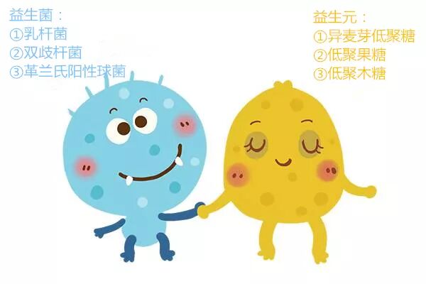 益生菌只有活的有用？那就大错特错了