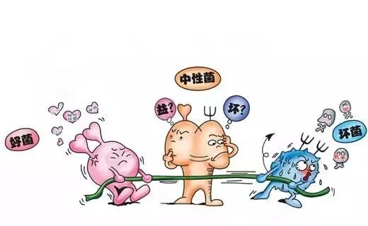 益生菌只有活的有用？那就大错特错了