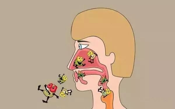 益生菌只有活的有用？那就大错特错了