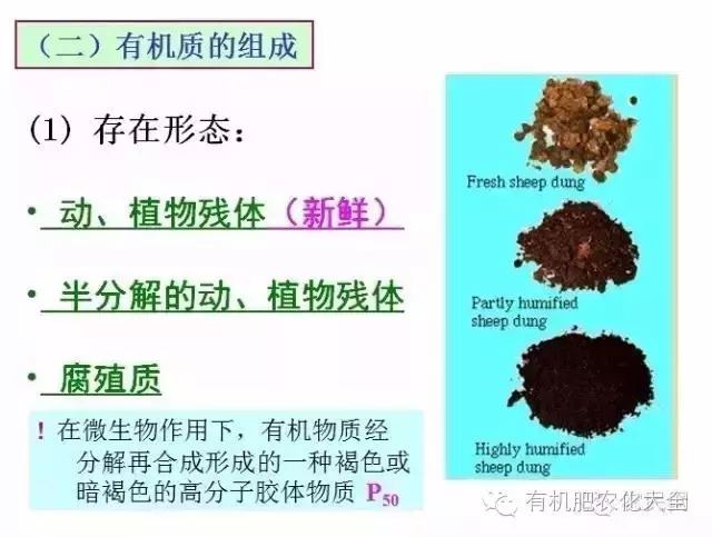 缺少 有机质 的土壤 病的不轻 菌肥 生物有机肥 土壤调理剂 菌剂 根力多股份