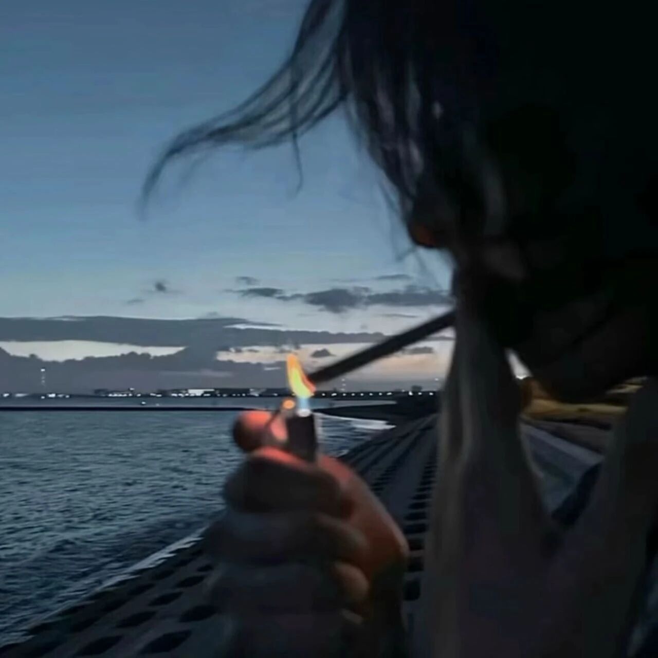 知禾觅