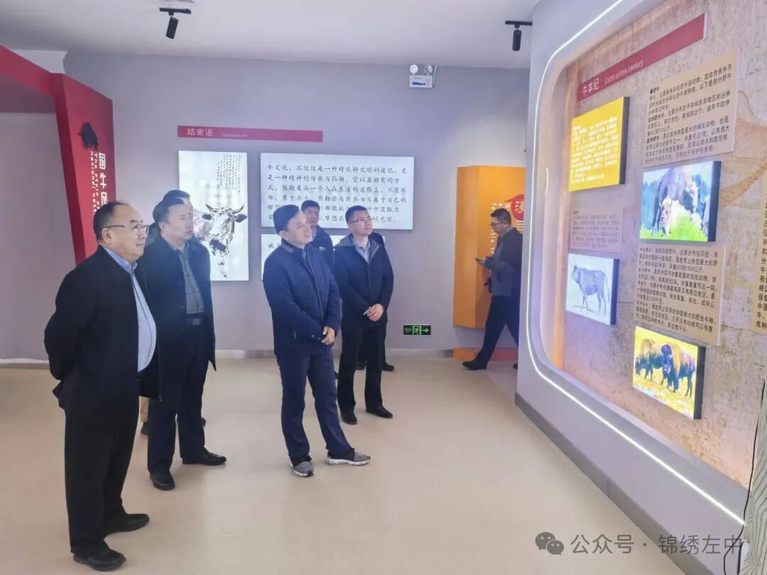 哈民遗址考古公园等地围绕肉牛产业发展,北疆科尔沁牛业王征涛内蒙古