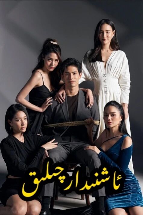 ئاشنىدارچىلىق