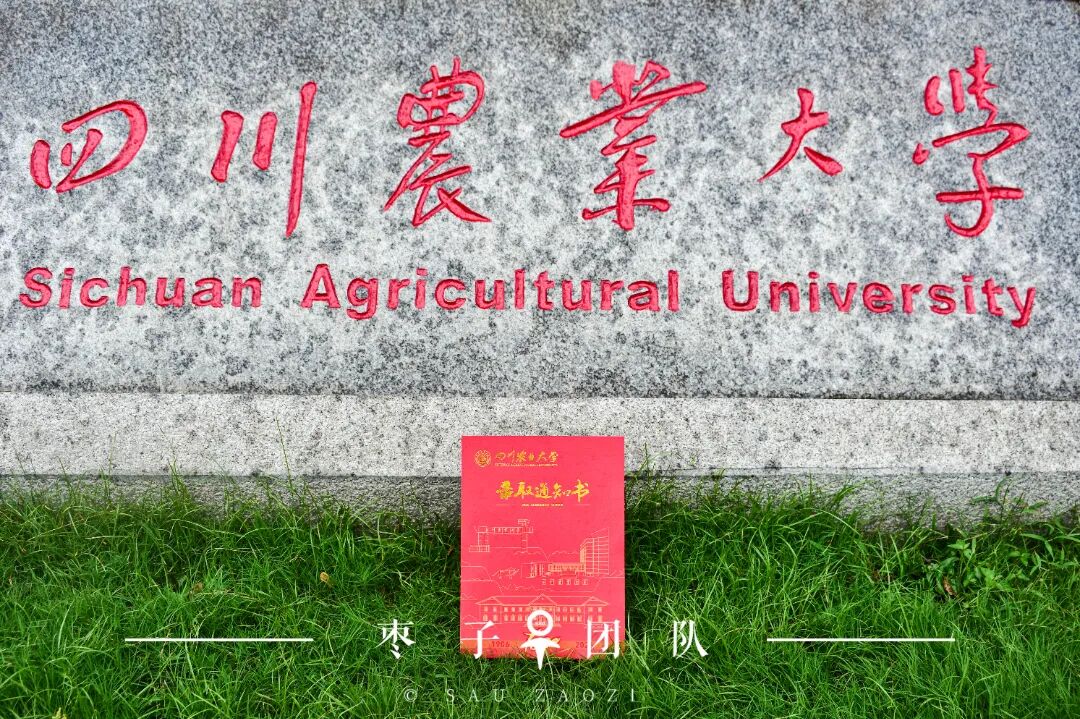 微信图片_20260727220322_1121_2.jpg