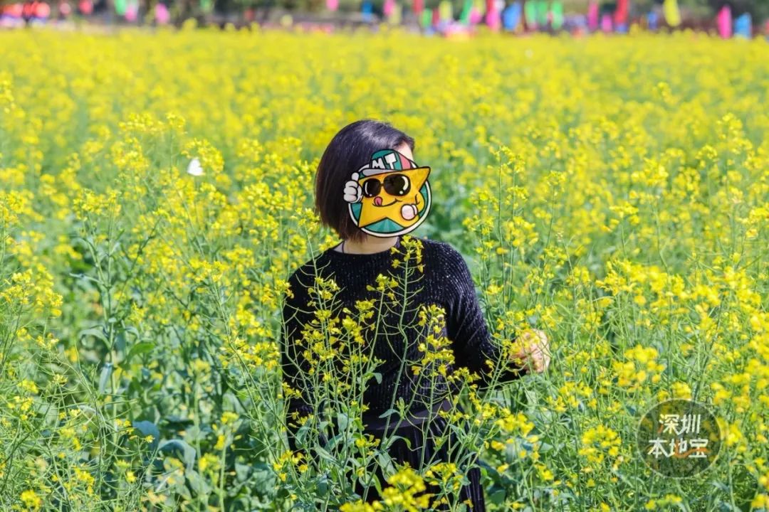 3月踏青賞花季！深圳這個好去處很多人還不知道！各種花海美翻了！ 旅遊 第38張