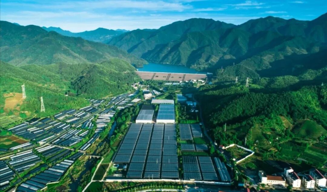 孢子粉武义造全产业链赋能中医药走向世界