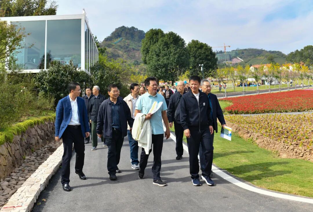 金华市级老领导来武义开展走看促活动
