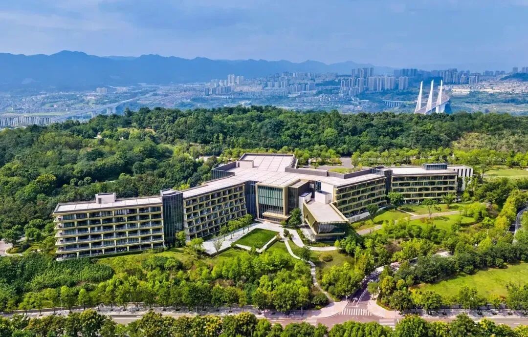 希尔顿双11房券怎么囤 满3000减600券后600起多店不加价