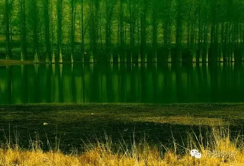 上湾水库,我与你有个约会 上湾水库,我与你有个约会