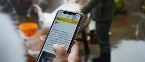 闲鱼上这些特殊服务，也太刺激了吧！！