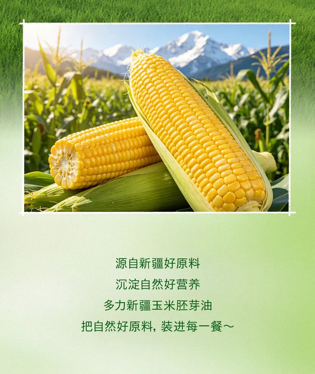 多力新疆玉米胚芽油新品长图-改1_07.jpg