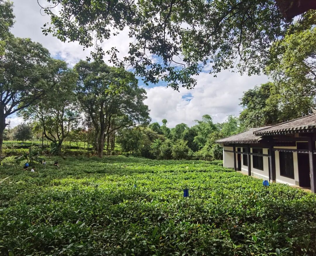 8月旅行地推荐，再不出发夏天可就结束啦~