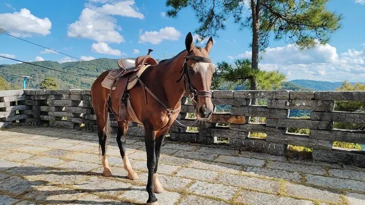 8月旅行地推荐，再不出发夏天可就结束啦~